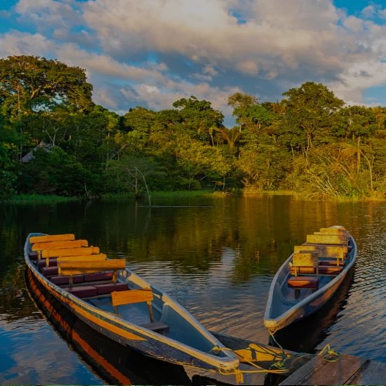 Travel Blog Manu National Park & Amazon Peru