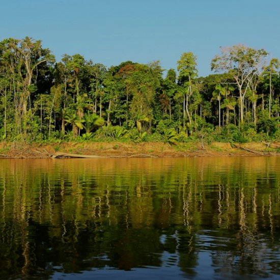 Travel Blog Manu National Park & Amazon Peru