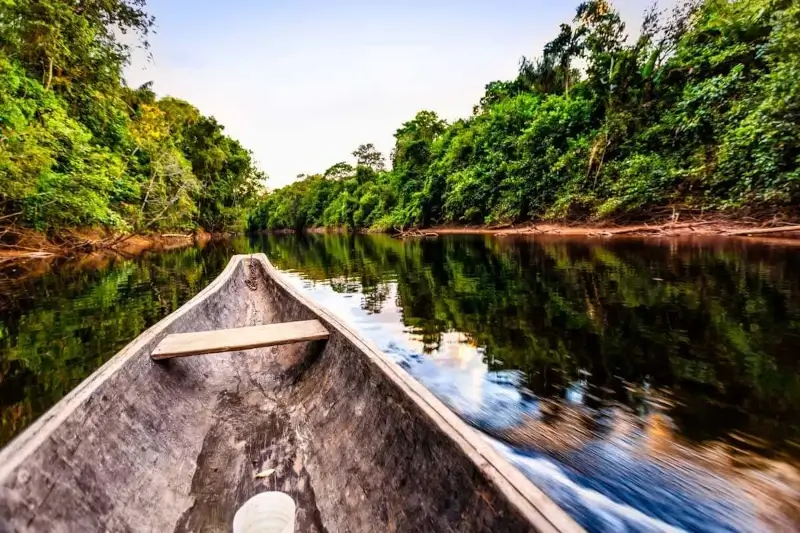 Canoeing in Manu National Park: A Unique Adventure, Challenges Faced by Amazon in Peru