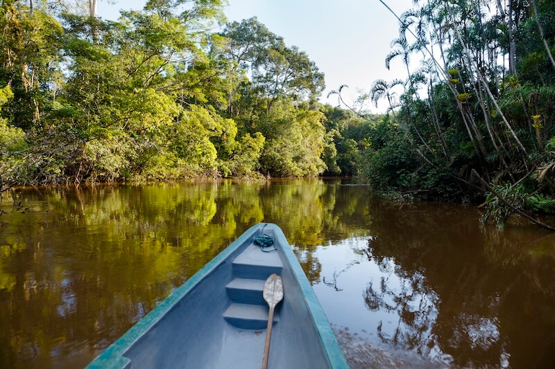 Amazon Rainforest Tours