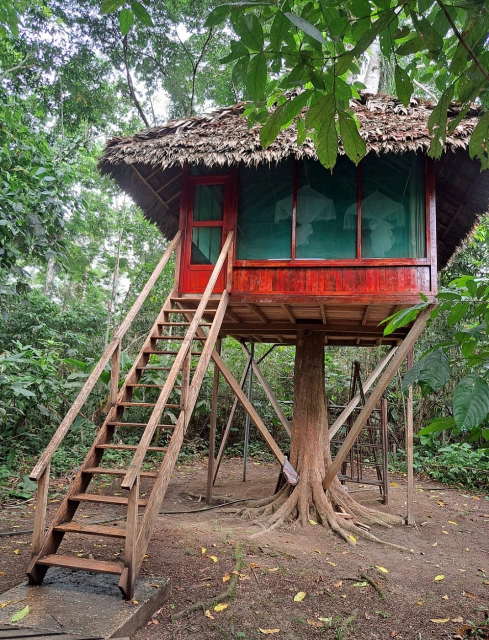 jungleadventuresperu