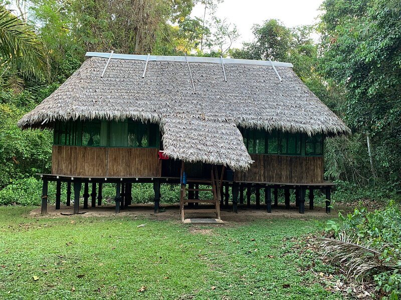 Amazon Rainforest Tours