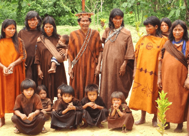 Mastiguenka, Manu National Park, Challenges Faced by Amazon in Peru