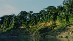 Manu Peru: A Guide to Eco-Tourism